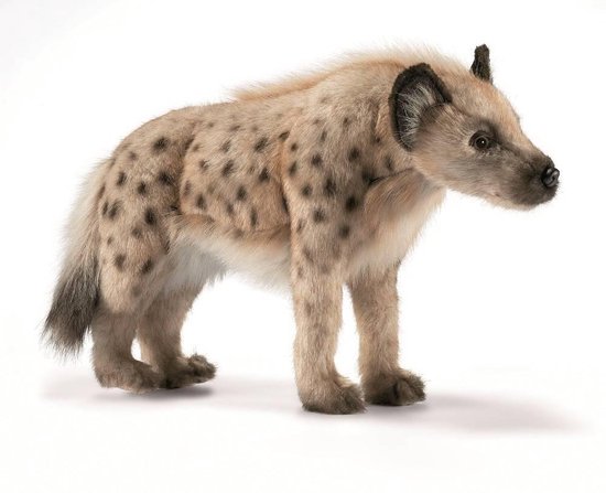 langzaam Schots Gezag Hansa pluche hyena 35 cm | bol.com