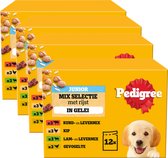 Pedigree Junior Hondenvoer - Mix Selectie in gelei - Maaltijdzakjes - 48 x 100 g