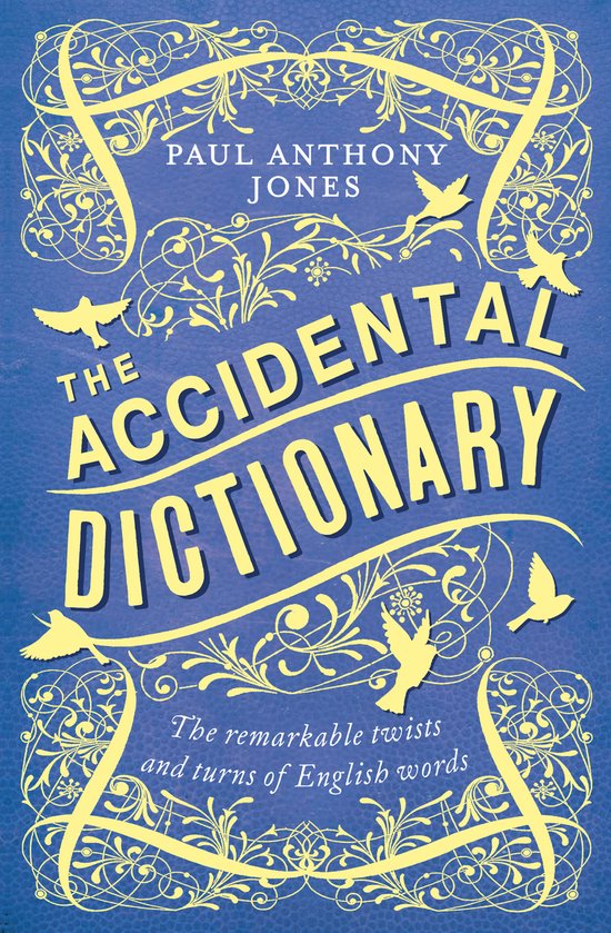 The Accidental Dictionary - cover