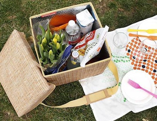 Kikkerland Wicker Picnick Cooler Bag & Chair