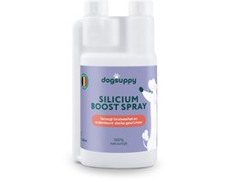 Silicium Boost Spray - Draagt bij aan Gezonde Gewrichten - Ondersteunt Algemeen Bewegingscomfort - 250 ml - 100% Natuurlijk - Helpt bij Stijve Gewrichten, Zwak Bindweefsel, Minder actief en terughoudend om te bewegen
