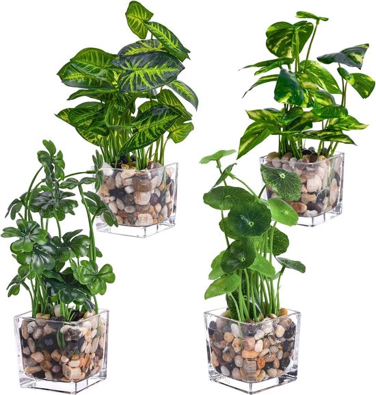 Welke planten zijn het beste voor een kleine tuin Welke planten zijn het beste voor een kleine tuin