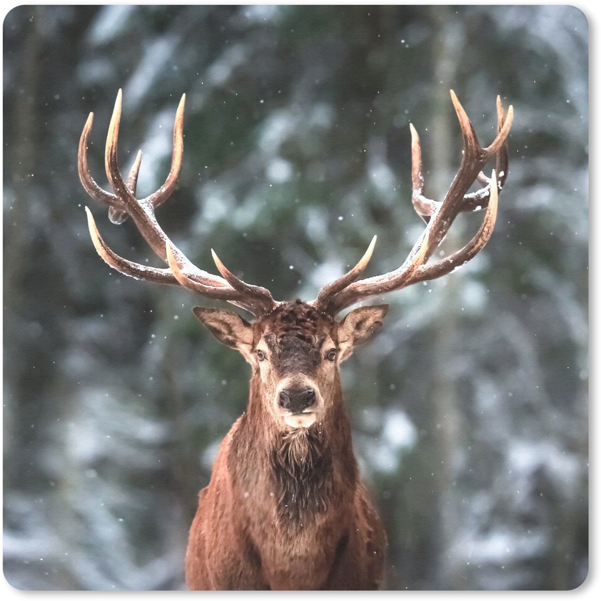 Muismat 30x30 cm - Mousepad Hert - Winter - Sneeuw - Bos - Natuur - Dier - Muismatten