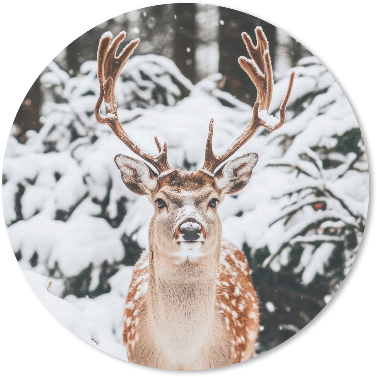 Muismat rond 50x50 cm - Mousepad Hert - Sneeuw - Winter - Bos - Dieren - Ronde muismatten