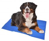 Duvo+ Koelmat Hond - Blauw - M - 50 x 65 cm