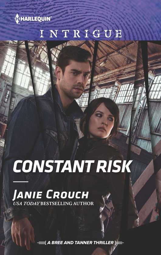 The Risk Series: A Bree and Tanner Thriller 3 - Constant Ris ... - cover