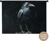 Raaf - Vogel