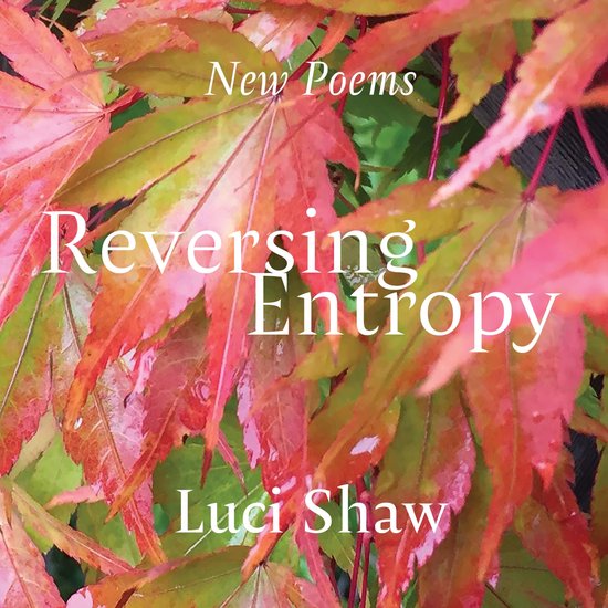 Reversing Entropy - cover