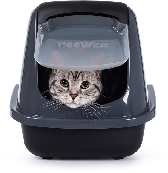 Gestreepte kat kijkt uit een donkergrijze kattenbak met klep.
