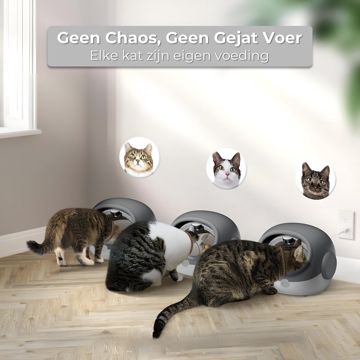Afbeelding 3 van CatElite® - Chip Voerdispenser - RFID - Automatische Voerbak Kat - Voerautomaat met Chip voor Halsband - Voerbak - Feed - Grijs