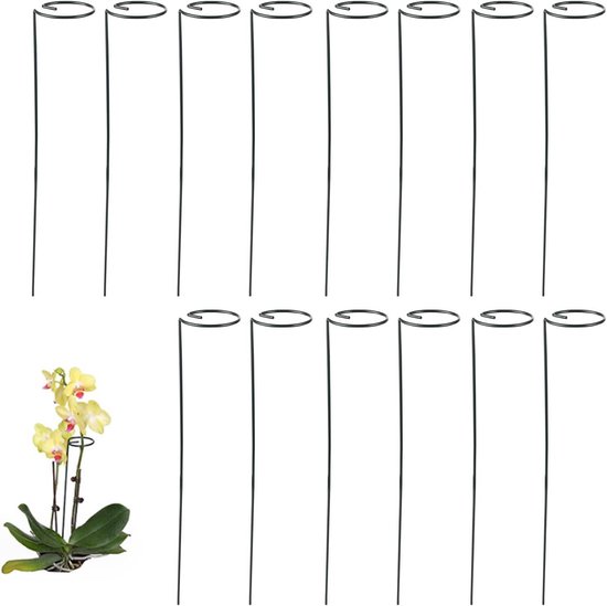 ikebana- Japanse bloemsierkunst In een speciale houder worden de bloemen geprikt zodat iedere bloem mooi tot zijn recht komt. Het past helemaal in de trend van nu! Een paar bloemen in een