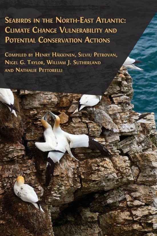 Seabirds In The North-east Atlantic - cover