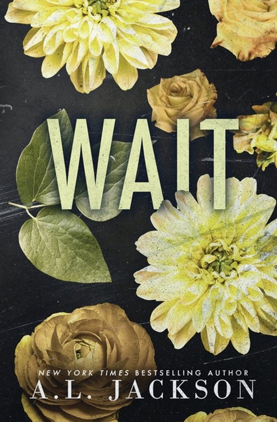 Bleeding Stars- Wait (Special Edition Paperback) - cover