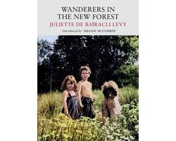 Wanderers In The New Forest
