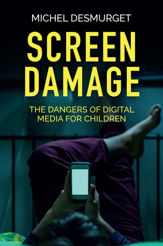 Screen Damage - cover