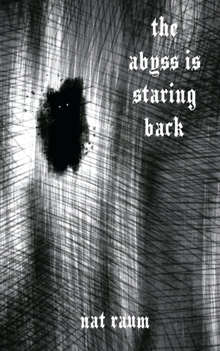 The Abyss Is Staring Back van Nat Raum
