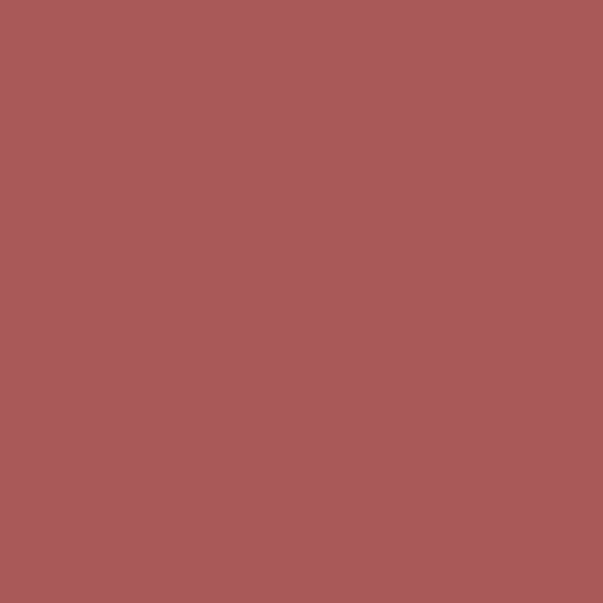 Levis - Ambiance Mur Poedermat Mix - Shady Red B50 - 1 L