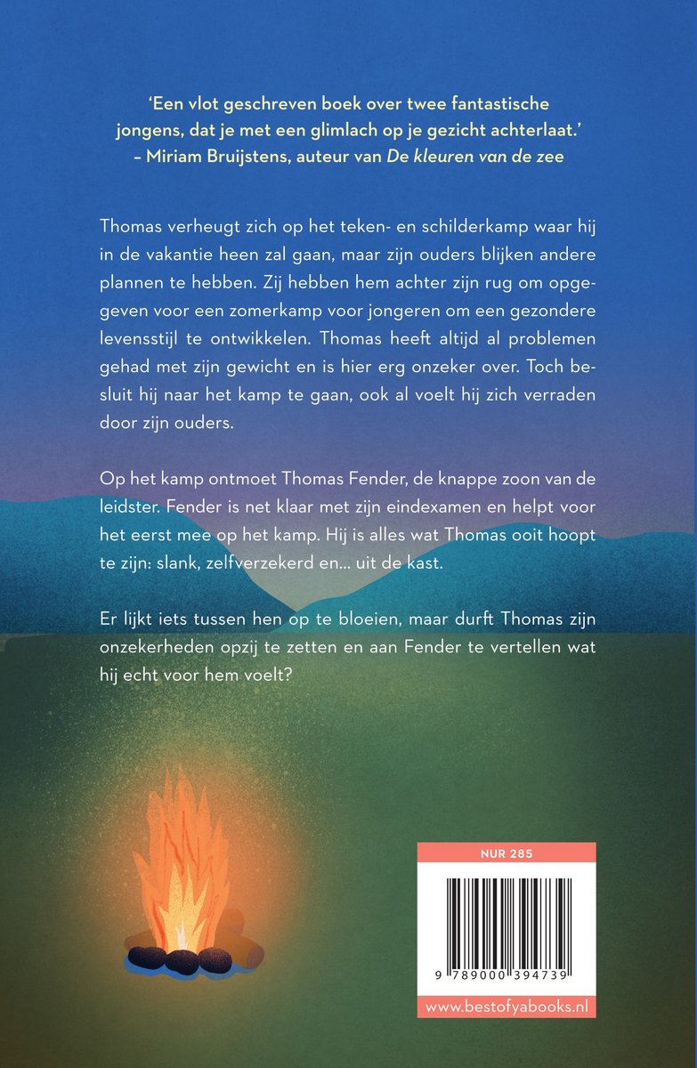 Frambozenzomer - back cover