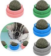 Kattengrassnack, kattengrassticks, natuurlijk gedroogd, snacks voor katten voor ontharing en tandverzorging, kattenkruid, kattengras-stick
