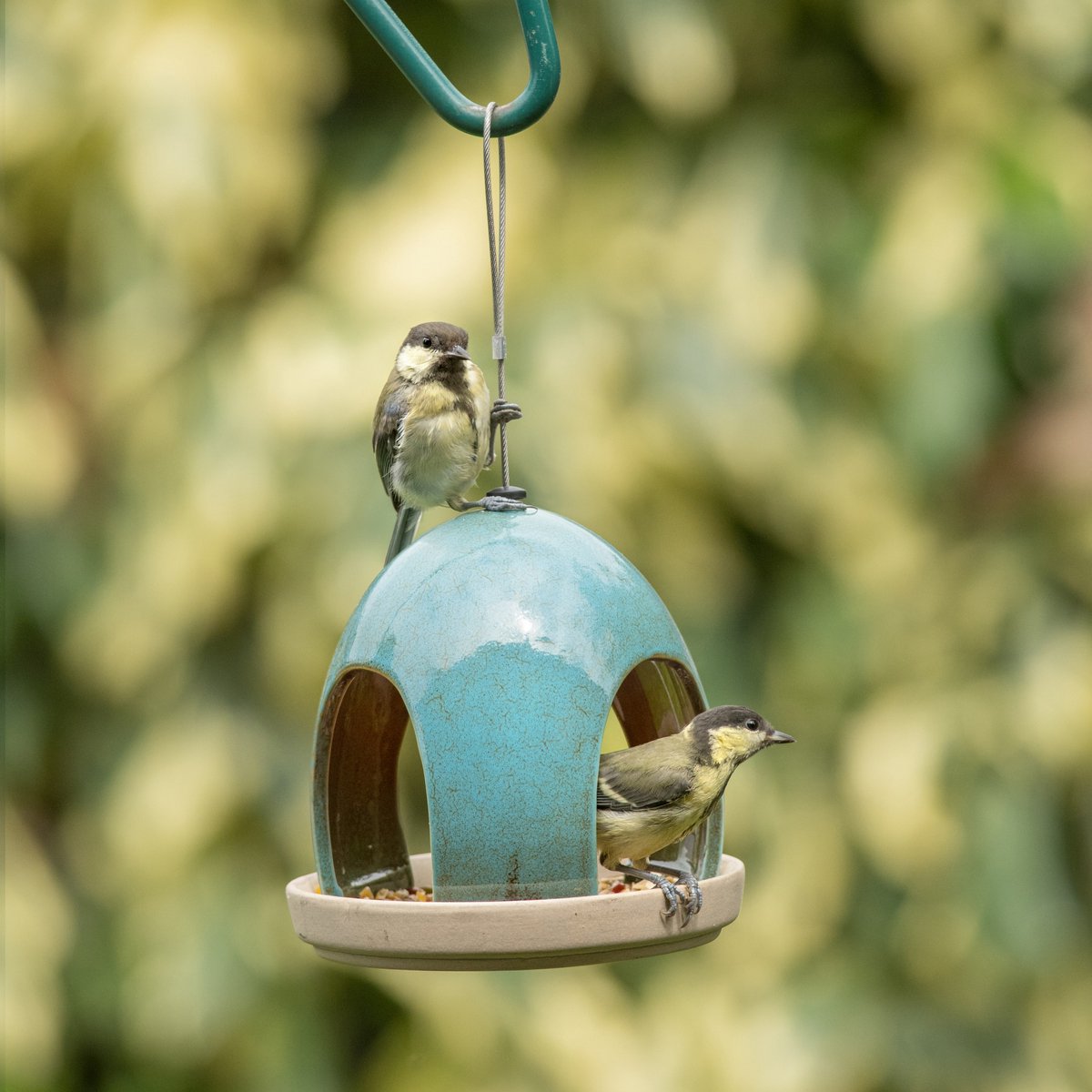 CJ Wildlife Vogelvoederhuisje voor Kleine Vogels & Tuinvogels van C J Wildlife — cadeau in Wonen & Interieur - foto 2