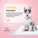 Un chiot husky assis regarde la caméra sur un tapis pour chiot bleu et blanc. Un avis étoilé est à côté.