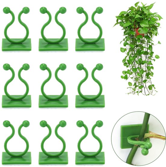 Tien groene plantenclips, een klimplant in een pot en een detailfoto van een clip die een plantenstengel bevestigt.