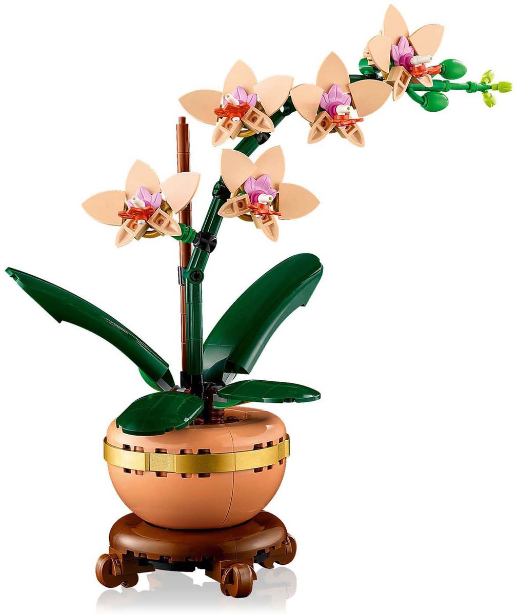 LEGO Botanicals Mini orchidee - 10343 — afbeelding 24