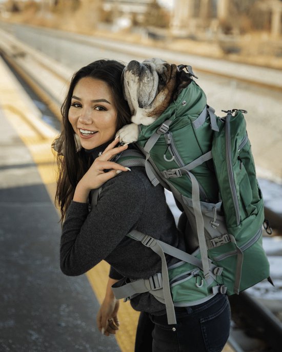 K9 Sport Sack - Kolossus - Sac à dos pour chien - sac de transport pour chien - sac à dos pour chien - sac à dos pour chien - sac à dos sûr et confortable pour chien - idéal pour la marche et le vélo - XXL - EXTRA EXTRA LARGE - Vert