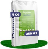Herstelgazon Graszaad Snelkiemend (5kg, 250m2) Organifer - Gazonzaad - Graszaad Herstel en Doorzaai - Herstel Graszaad - Gazon Herstel - Graszaden voor Alle Gazontypes - Zelfherstellend - Hoge Betredingstolerantie - NAK Gecertificeerd