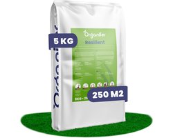 Herstelgazon Graszaad Snelkiemend (5kg, 250m2) Organifer - Gazonzaad - Graszaad Herstel en Doorzaai - Herstel Graszaad - Gazon Herstel - Graszaden voor Alle Gazontypes - Zelfherstellend - Hoge Betredingstolerantie - NAK Gecertificeerd