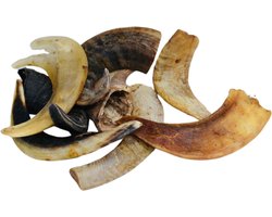 Animalking Lamshoorn Hond - Hoorn Hond - Kauwsnack Hond - Gewei Hond - S tot 50 Gram - 3 Stuks