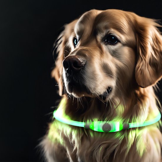 Collier pour chien LED lumineux - Siècle des Lumières de laisse pour chien rechargeable - Colliers d'éclairage pour chien lumineux - Taille unique - Rose