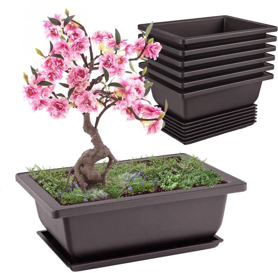 Kits de culture de bonsaï Ibenzoa® avec pots et plateaux réutilisables pour l'intérieur et l'extérieur, lot de 6
