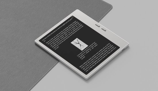 Witte e-reader met gedrukte tekst en een takje, op een grijze ondergrond.