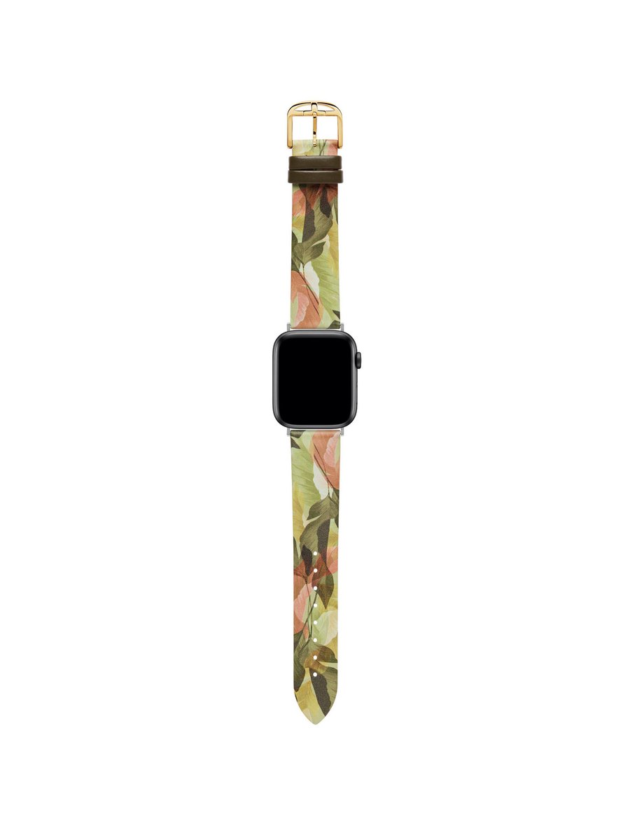 Ted Baker Ted Baker Apple Watch Strap Watch Straps Groen Armband: 100% Leather BKS38F104B0