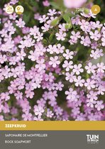 Tuin de Bruijn® zaden - Zeepkruid Rose - meerjarige bodembedekker - kruipende plant - 180 zaden