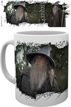 Lord Of The Rings Gandalf Mok