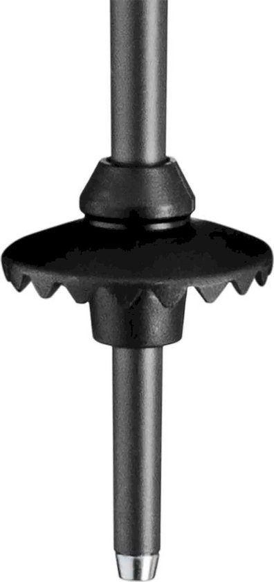 Bâtons Leki Alpino Neolite Transparents 125 cm