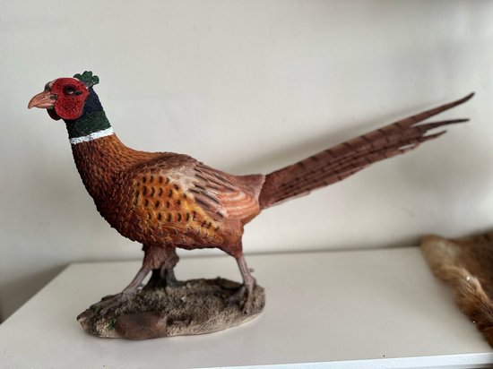 Goodyz- Wilde dieren- Vogels - Fazanten - Fazanten haan - staand - orginele kleuren
