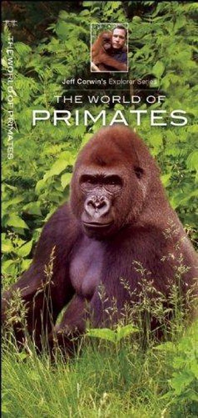 The World of Primates