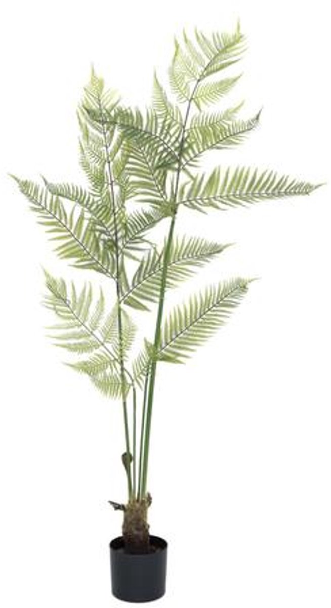 Pottery Pots Kunstplant - Fern M - H150cm - Indoor - Green