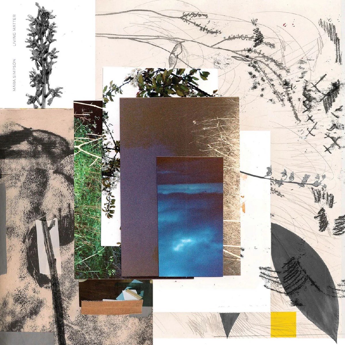 Mara Simpson - Living Matter (LP) (Recycled Coloured Vinyl)