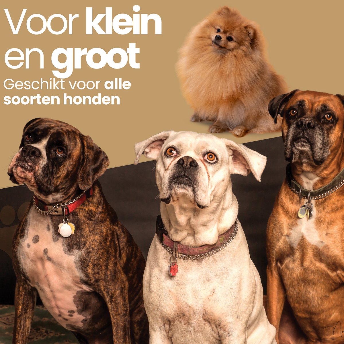 Dogs&Co® Hondenzwembad 120x30 cm Blauw - Zwembadje voor huisdieren - Honden zwembad - Hondenbad - Bad voor Honden en kinderen - Opzet zwembad - 120x30cm - Blauw thumbnail 6