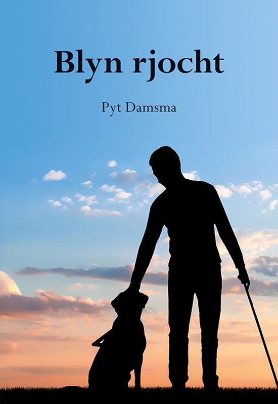 Blyn rjocht - cover