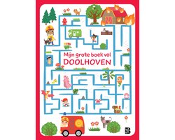 Mijn grote boek vol doolhoven