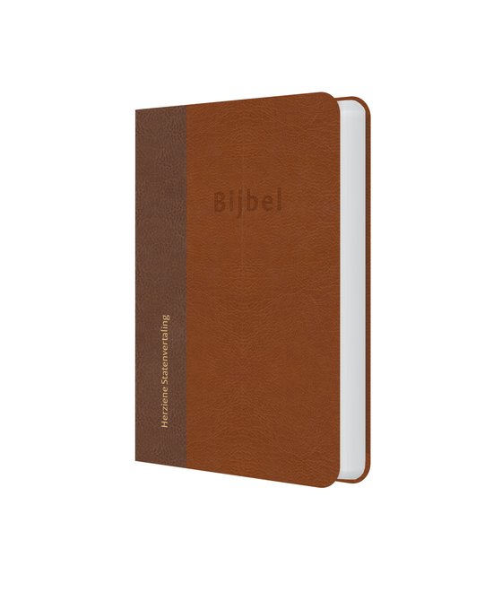 Bijbel (HSV) - Kunstleer bruin - cover