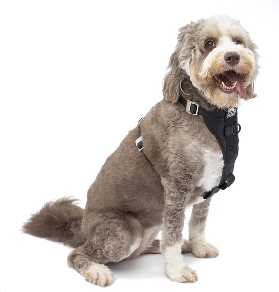 Kurgo Tru Fit smart Harness Geschirr für Hunde Grösse XL neu (Neu und