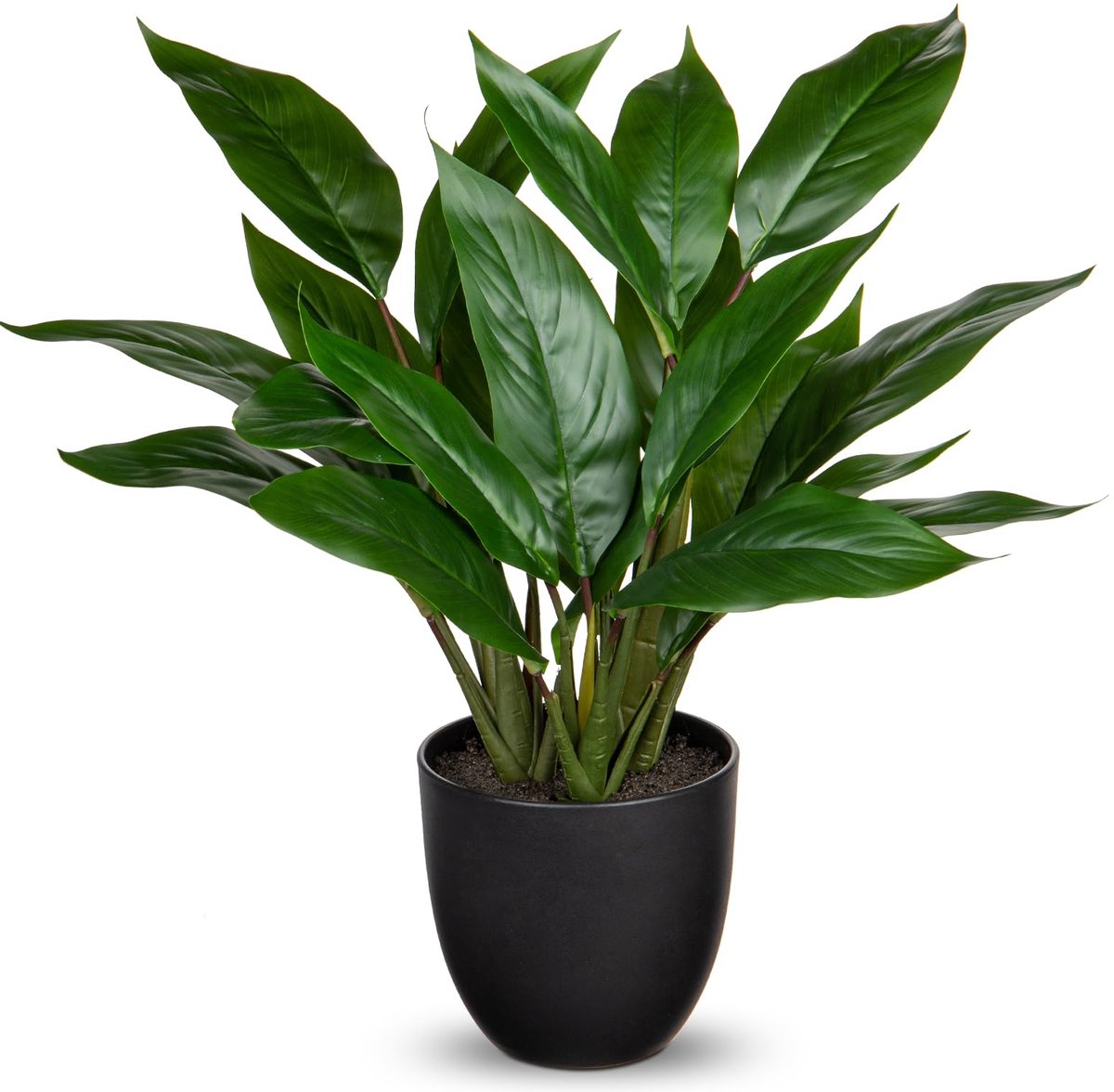 Ibenzoa Stijlvolle Kunstmatige Calathea Kamerplant met Realistische Bladeren in Kunststof Pot, Hoogte 43 cm groen
