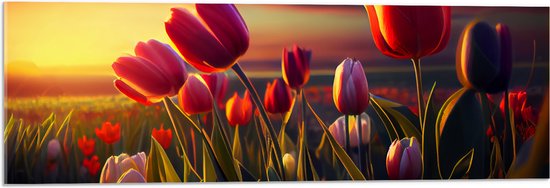 Acrylglas - Kleurrijke Tulpen in Bloemenveld - 90x30 cm Foto op Acrylglas (Met Ophangsysteem)