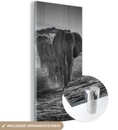MuchoWow® Glasschilderij 60x120 cm - Schilderij acrylglas - Olifant - Vlakte - Dieren - Zwart - Wit - Foto op glas - Schilderijen
